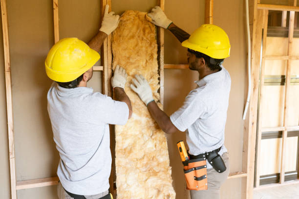 Best Basement Insulation  in Lonsdale, MN